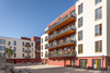 quartier wir MG 2365 presse.jpg NEWS