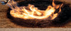SWISS KRONO OSB SF B schwer entflammbar.jpg NEWS