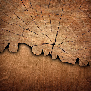 Wood: despite being one of the world’s oldest building materials, it remains timeless and convincing in every respect.