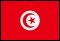 Flag of Túnez